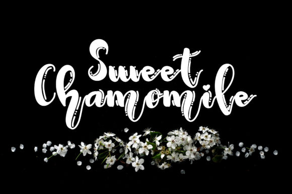 Enhance Your Brand with Sweet Chamomile Font