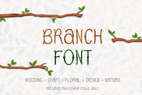 Exploring Branch: A Unique Display Font for Creative Projects